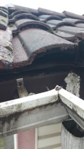 Tile roof eave opening