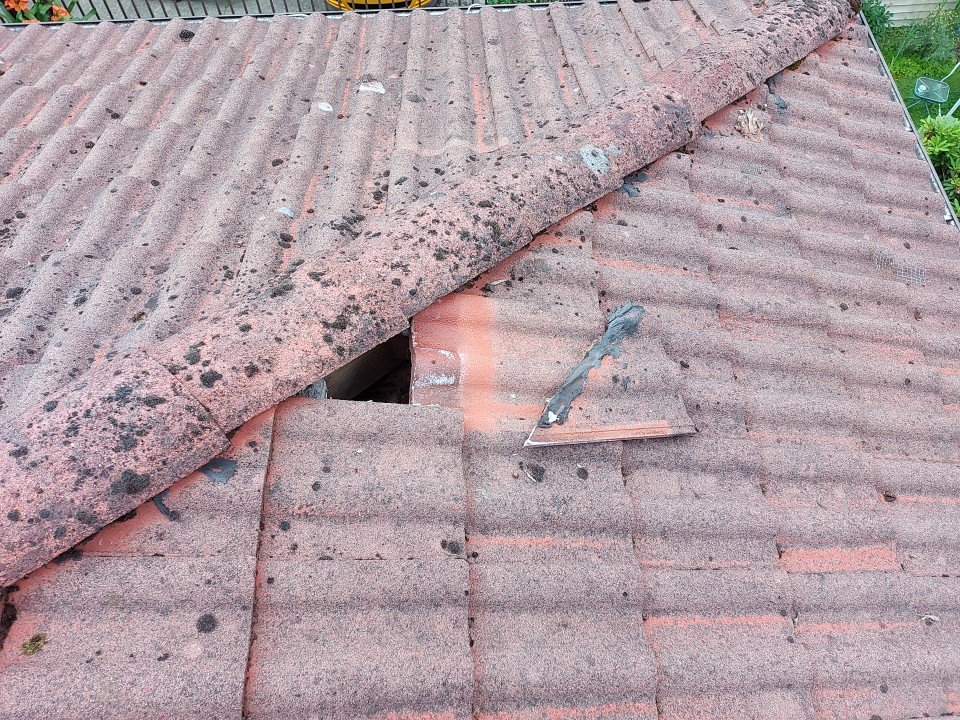 How Critters Get Into Tile Roofs in Vancouver