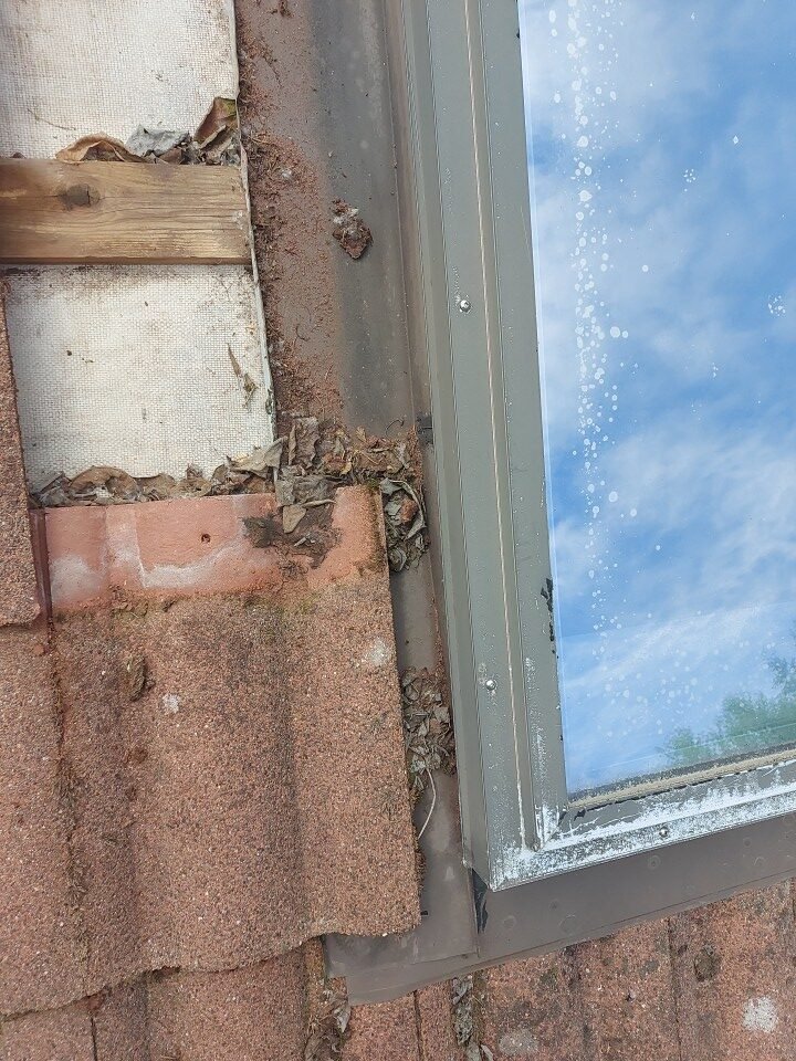 Debris built up in the skylight pan flashing, damming water on a Port Moody tile roof.