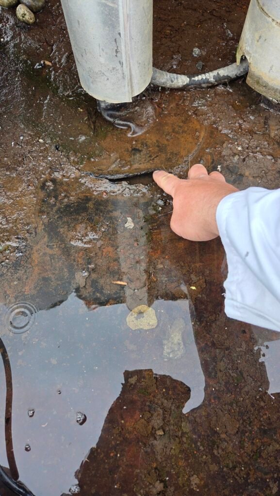 A lifting patch on a commercial EPDM flat roof in Mission, where the edge had let go and water was getting in.