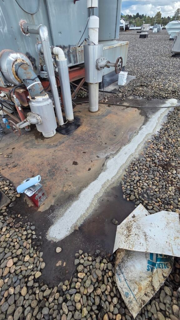 Commercial Flat Roof Leak Repair in Mission 3 Ponding water at a low point on a commercial flat roof in Mission being cleared to reach the leak.