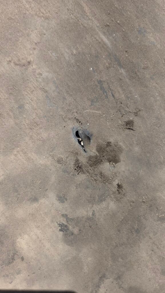 Commercial Flat Roof Leak Repair in Mission 6 River rock ballast shovelled aside to search for a puncture in the thin EPDM membrane on a commercial roof in Mission.