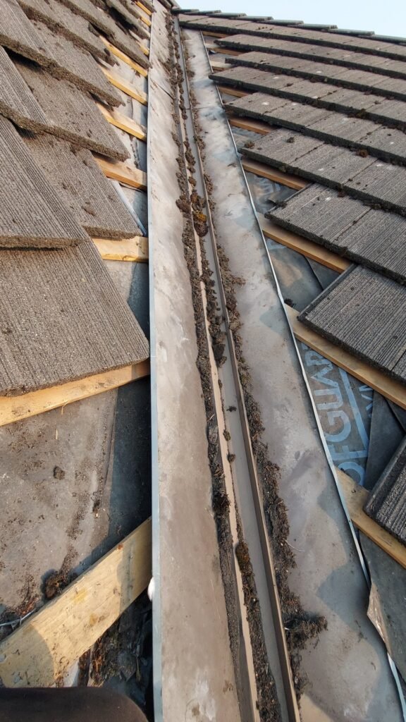 Metal valley flashing packed with moss and debris under the tiles of a concrete tile roof in Abbotsford.