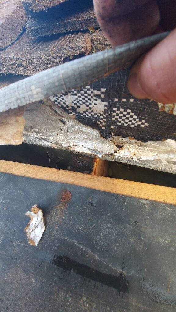 Wet roof truss exposed under the underlay where the gutter plywood ends on a Coquitlam tile roof.