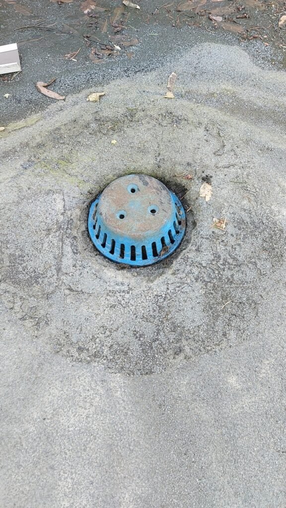 Roof drain on a torch-on flat roof in Aldergrove with debris collecting in the strainer.