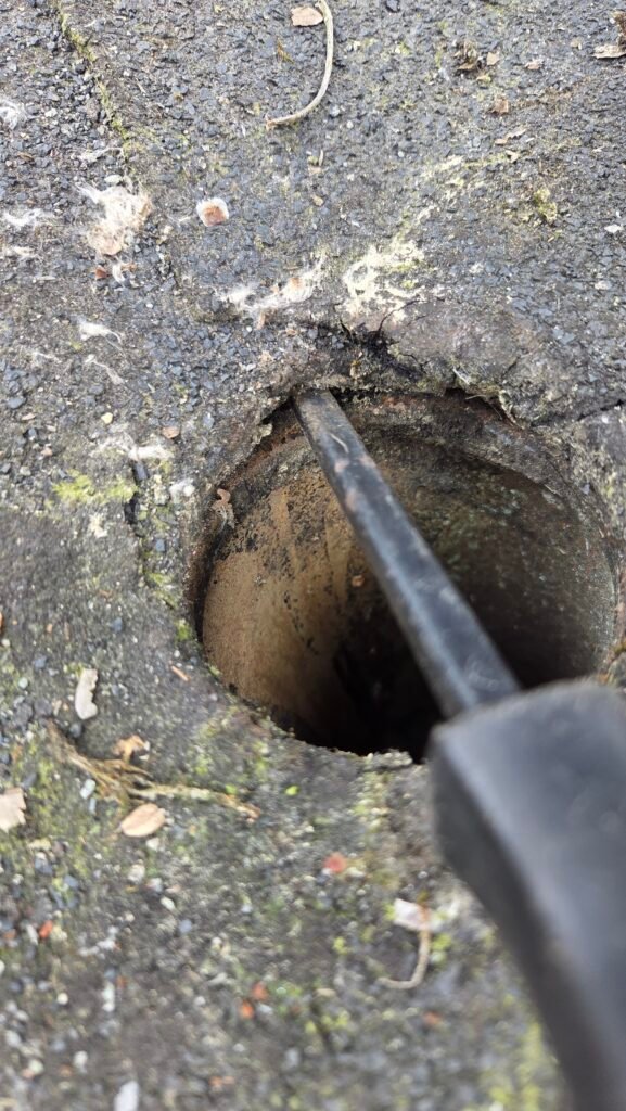 Screwdriver wedged between a torch-on roof membrane and the copper drain flange, showing the leak, in New Westminster.