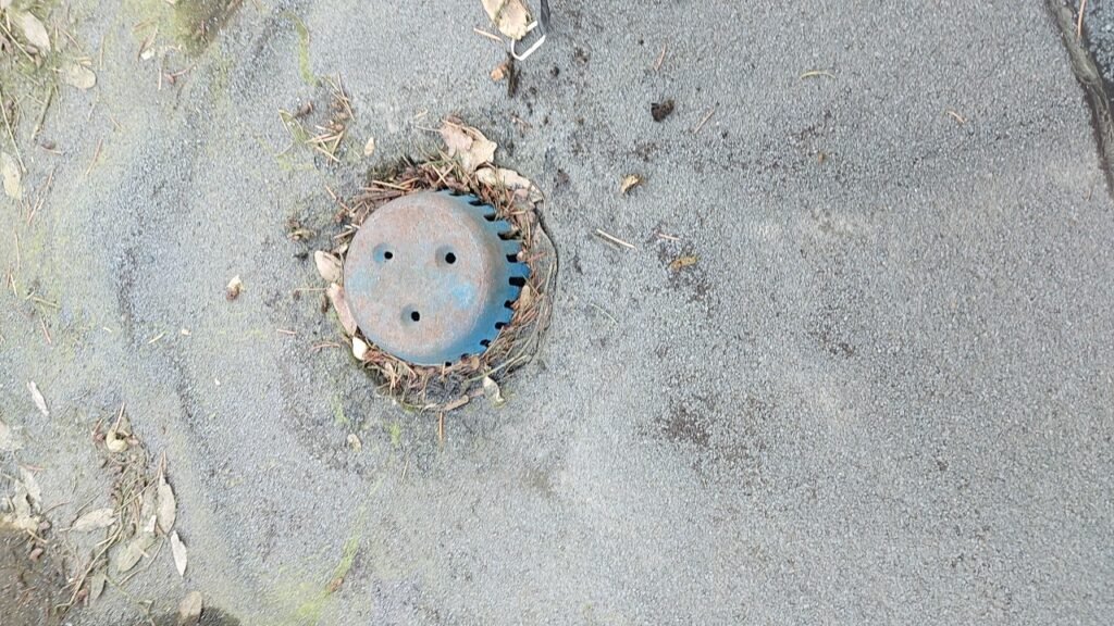 Roof drain strainer plugged with debris on a torch-on flat roof in Aldergrove.
